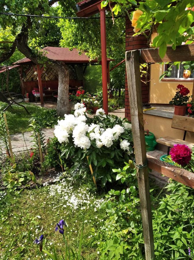 Apartament W Domu Na Wsi Tomaszow Lubelski Luaran gambar