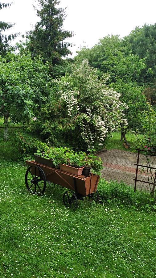 Apartament W Domu Na Wsi Tomaszow Lubelski Luaran gambar
