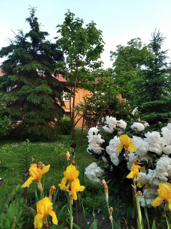 Apartament W Domu Na Wsi Tomaszow Lubelski Luaran gambar