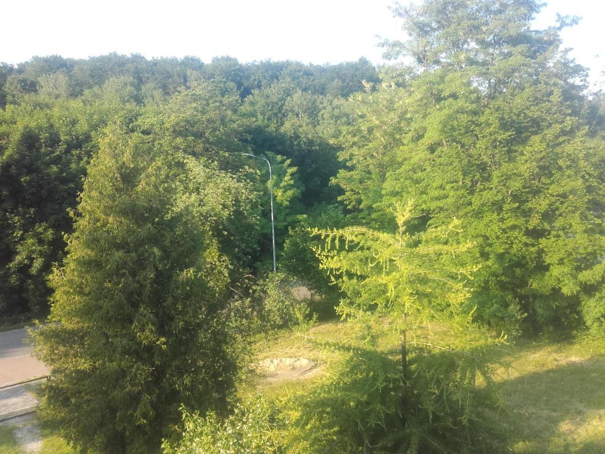 Apartament W Domu Na Wsi Tomaszow Lubelski Luaran gambar